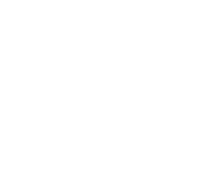 Valsts robežsardze