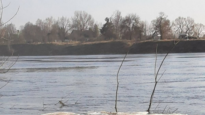 FOTO: Plosts ar kontrabandas cigaretēm Daugavā