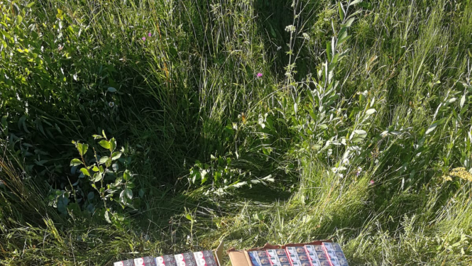 FOTO: Kontrabanda