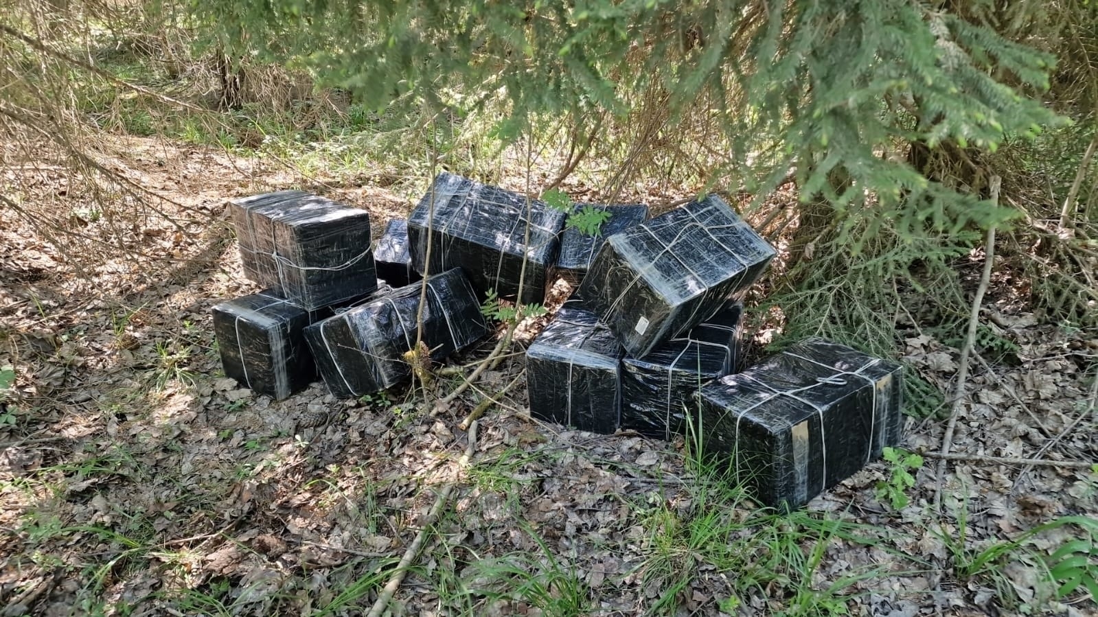 Robežsargi izņem 100 000 kontrabandas cigarešu