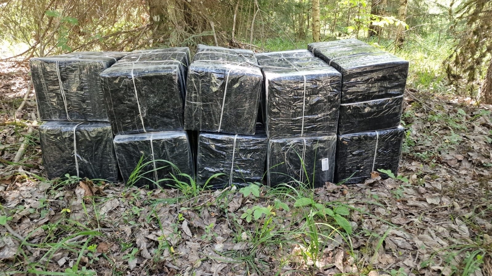 Robežsargi izņem 100 000 kontrabandas cigarešu