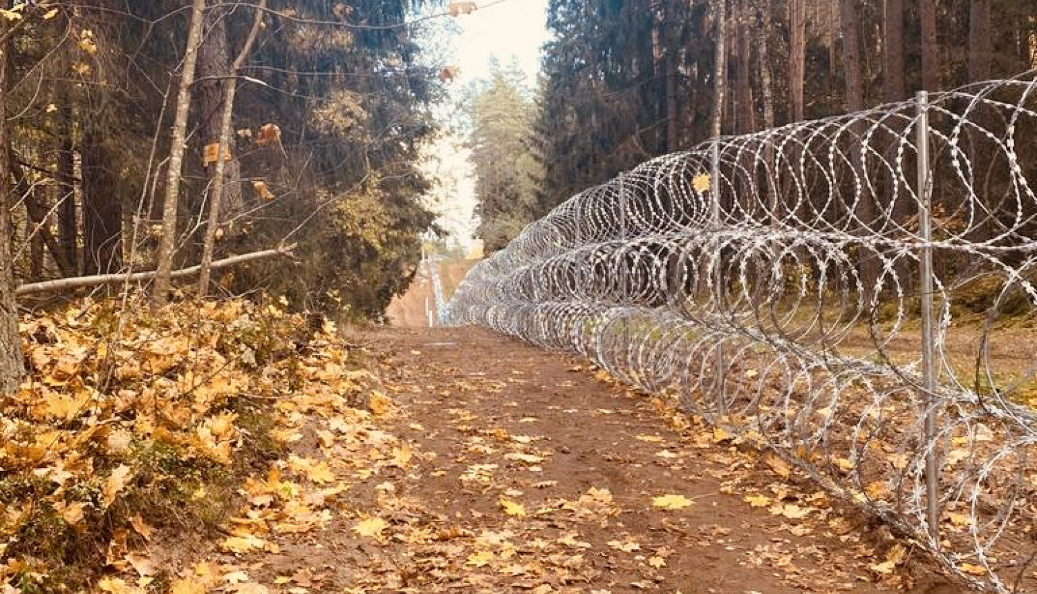 FOTO: Žogs