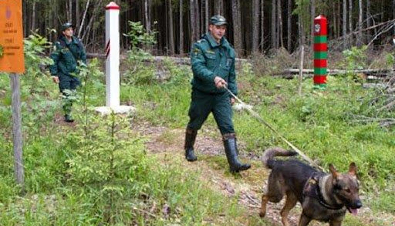 Ilustratīvs foto