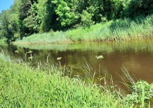 FOTO: Masļenku piemiņas pasākuma dalībnieki Ludzā