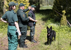 FOTO: Kinologu sacensības