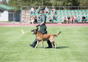 FOTO: Kinologu sacensības