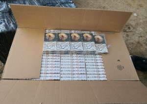 Robežsargi izņem 80 000 kontrabandas cigarešu