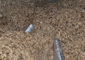 FOTO: Kontrabandas cigaretes