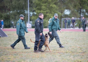 Kinoloģijas dienestu sacensības tiek rīkotas jau 23.reizi