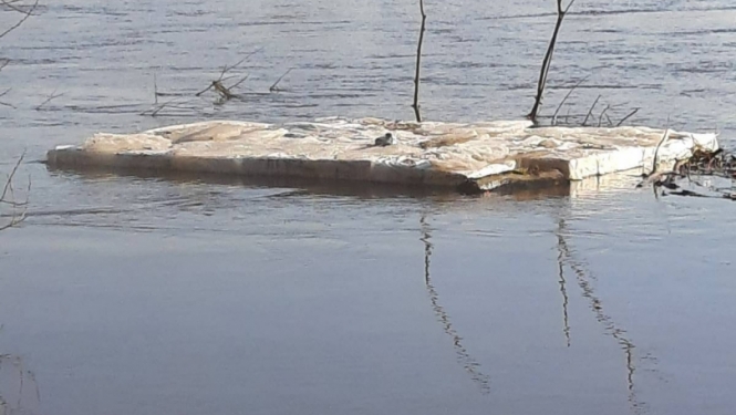 FOTO: Plosts ar kontrabandas cigaretēm Daugavā