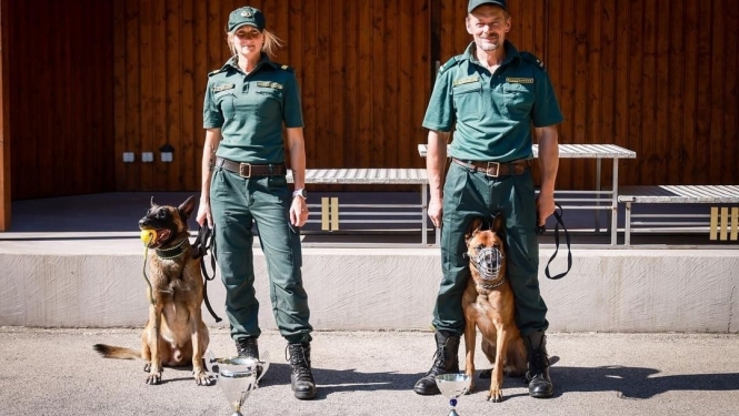 Valsts robežsardzes amatpersonu un dienesta suņu piedalīšanās dienesta suņu profesionālās meistarības sacensībās