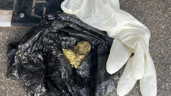 FOTO: Izņemtās vielas