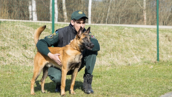 FOTO: Kinologs ar suni