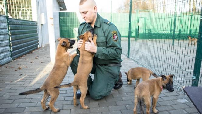 FOTO: Robežsargs ar kucēniem