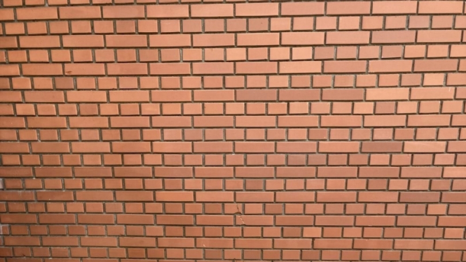 Robežsargi konstatē cigarešu nelikumīgas pārvietošanas gadījumu