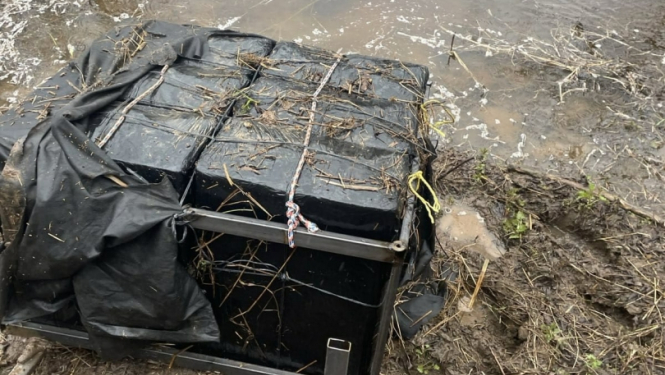 FOTO: Kontrabandas cigaretes