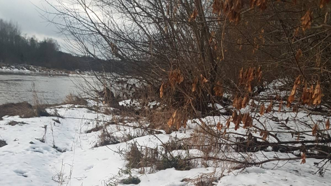 FOTO: Kontrabandas cigaretes