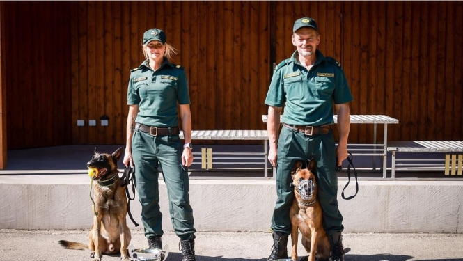 Valsts robežsardzes amatpersonu un dienesta suņu piedalīšanās dienesta suņu profesionālās meistarības sacensībās
