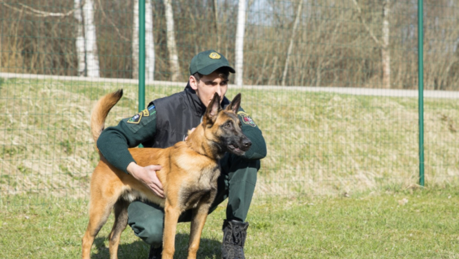 FOTO: Kinologs ar suni