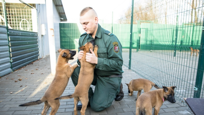FOTO: Robežsargs ar kucēniem