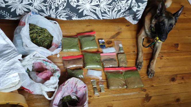 FOTO: Suns ar atrastajām narkotikām