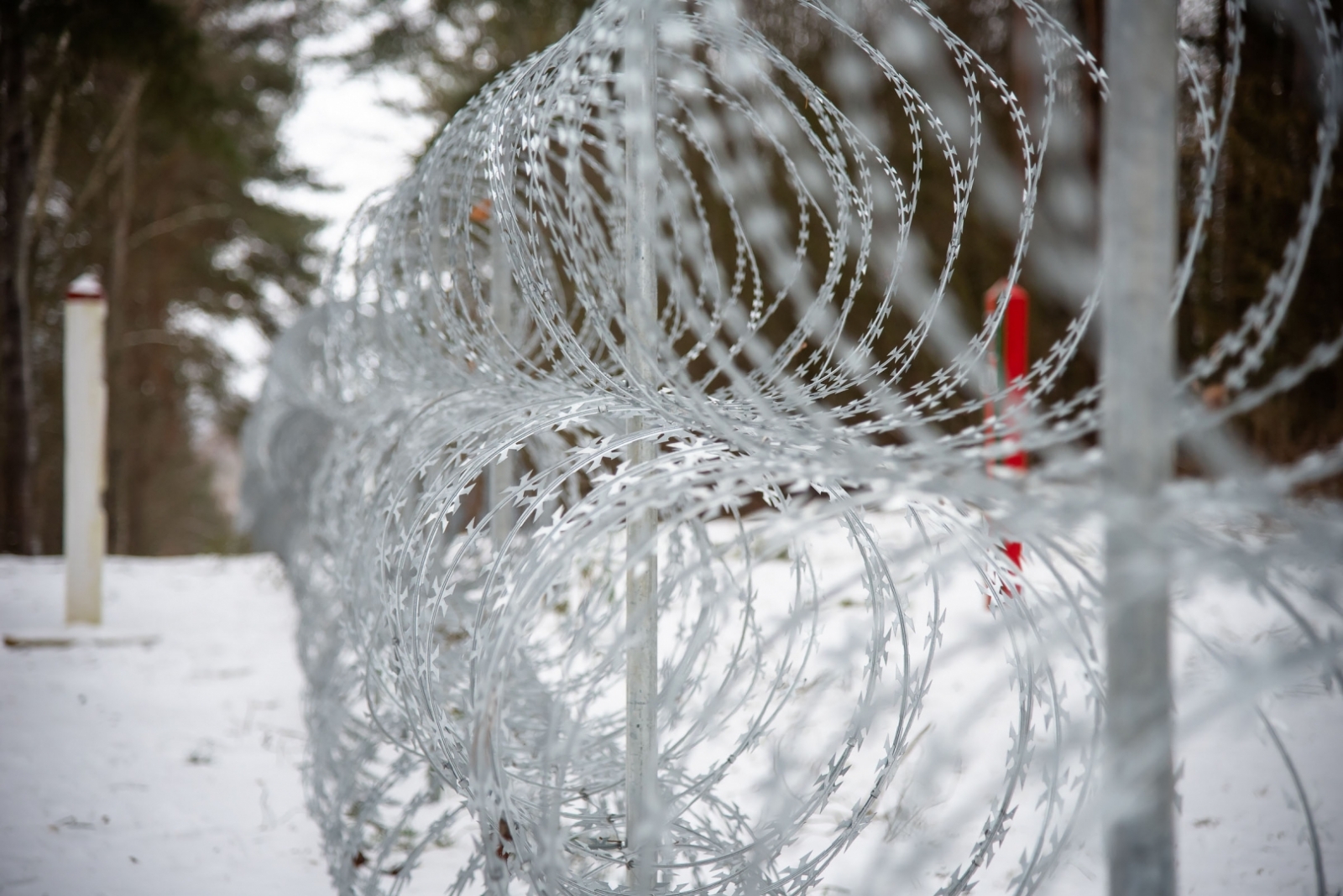 FOTO: Lietuvas pārstāvju vizīte uz robežas