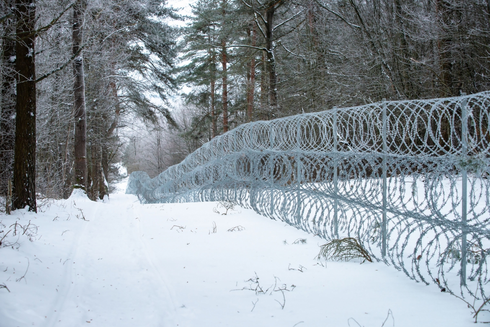 FOTO: Tiesībsarga vizīte uz robežas