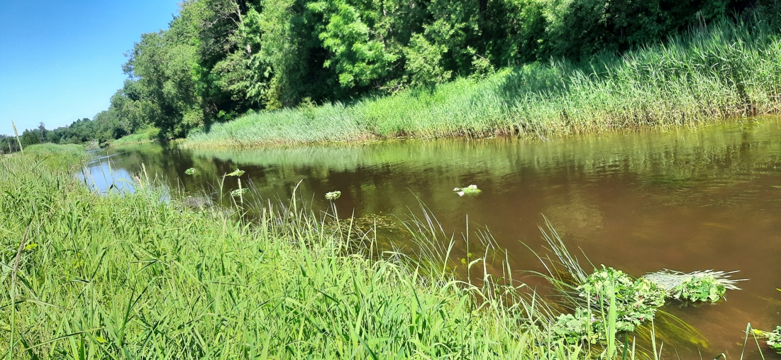 FOTO: Masļenku piemiņas pasākuma dalībnieki Ludzā