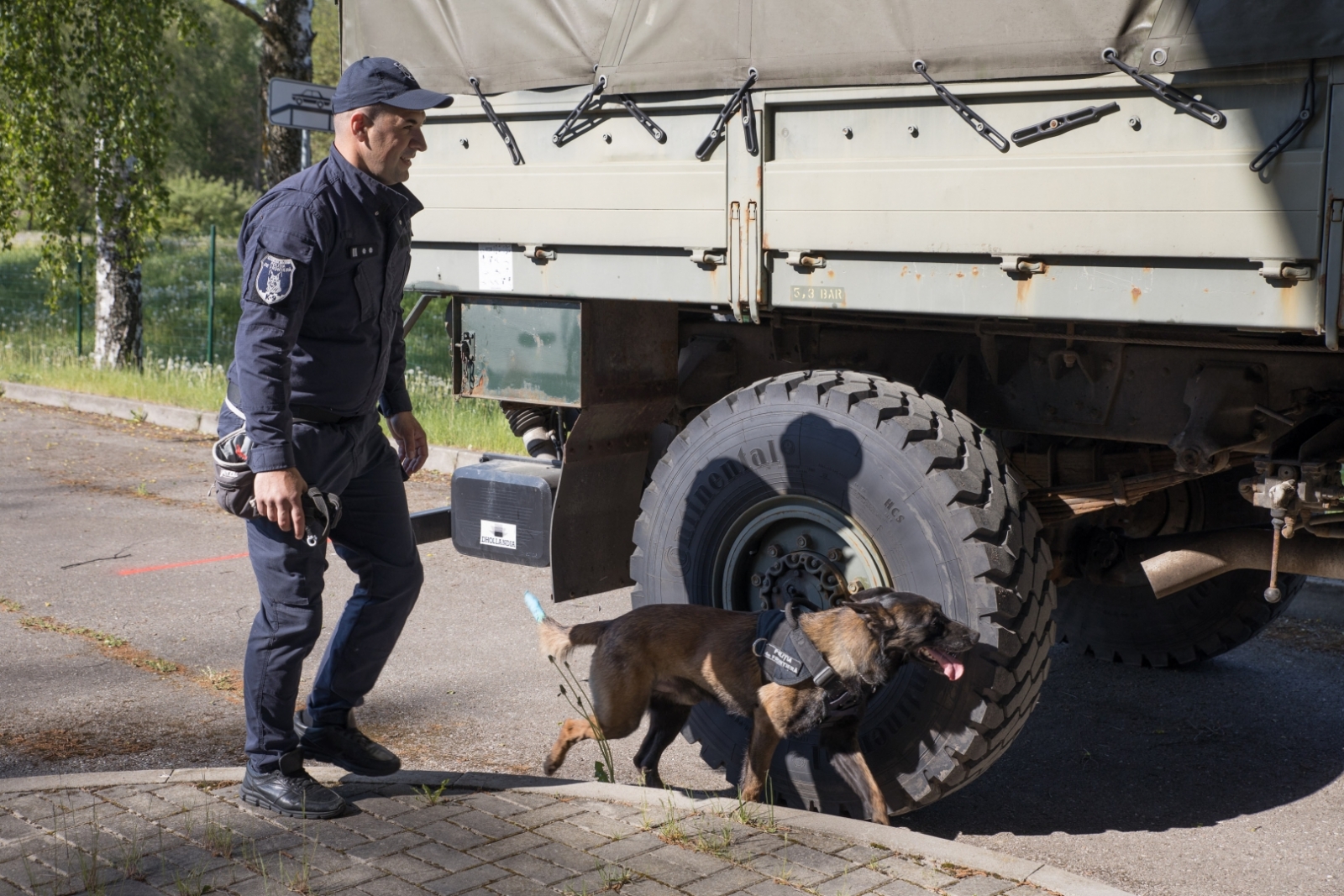 FOTO: Kinologu sacensības