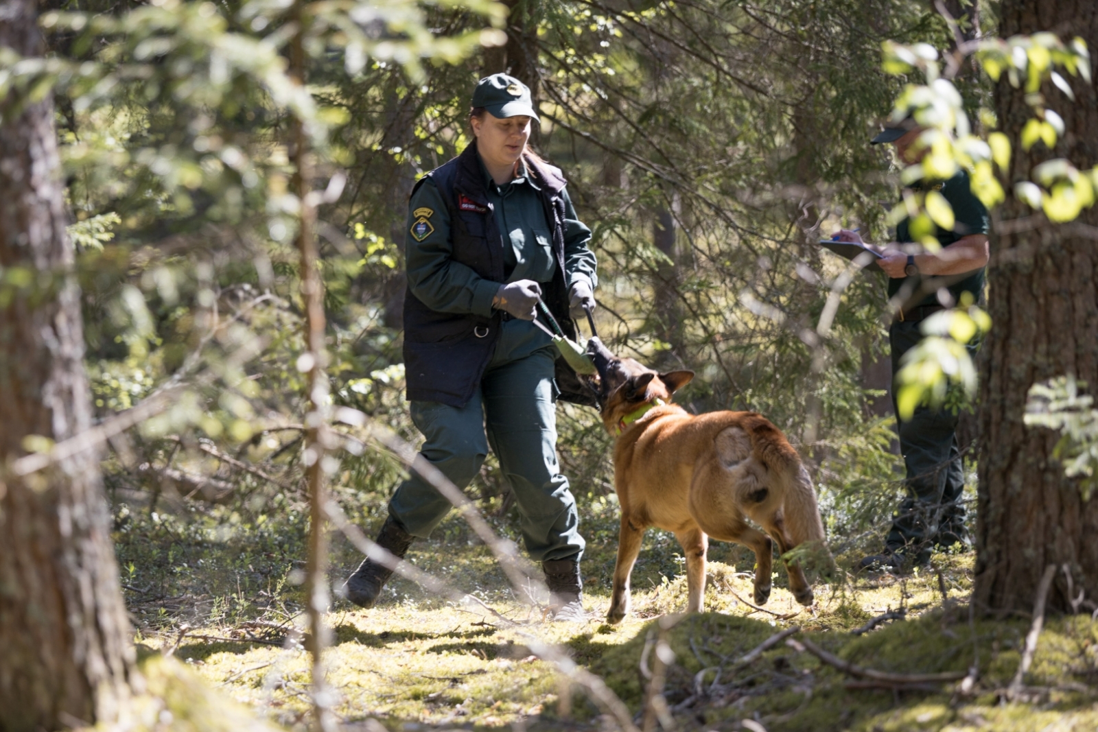 FOTO: Kinologu sacensības