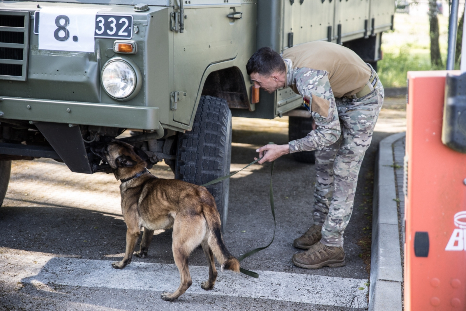 FOTO: Kinologu sacensības