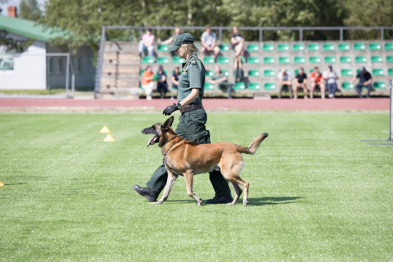 FOTO: Kinologu sacensības