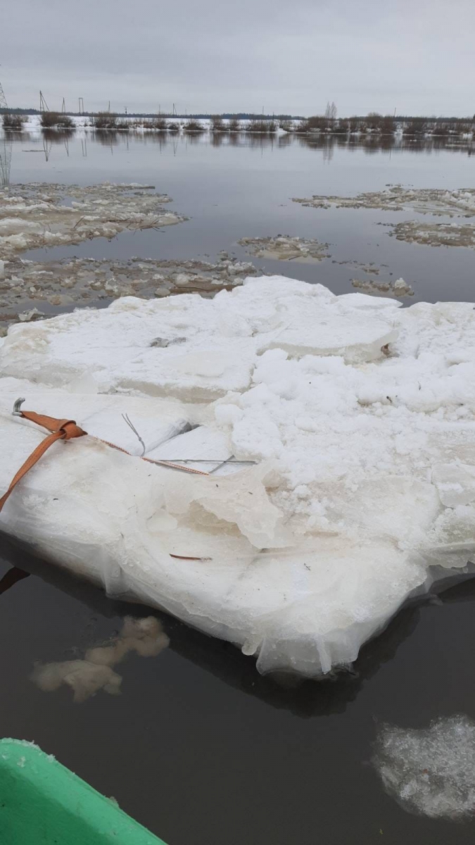 FOTO: Kontrabandas cigaretes