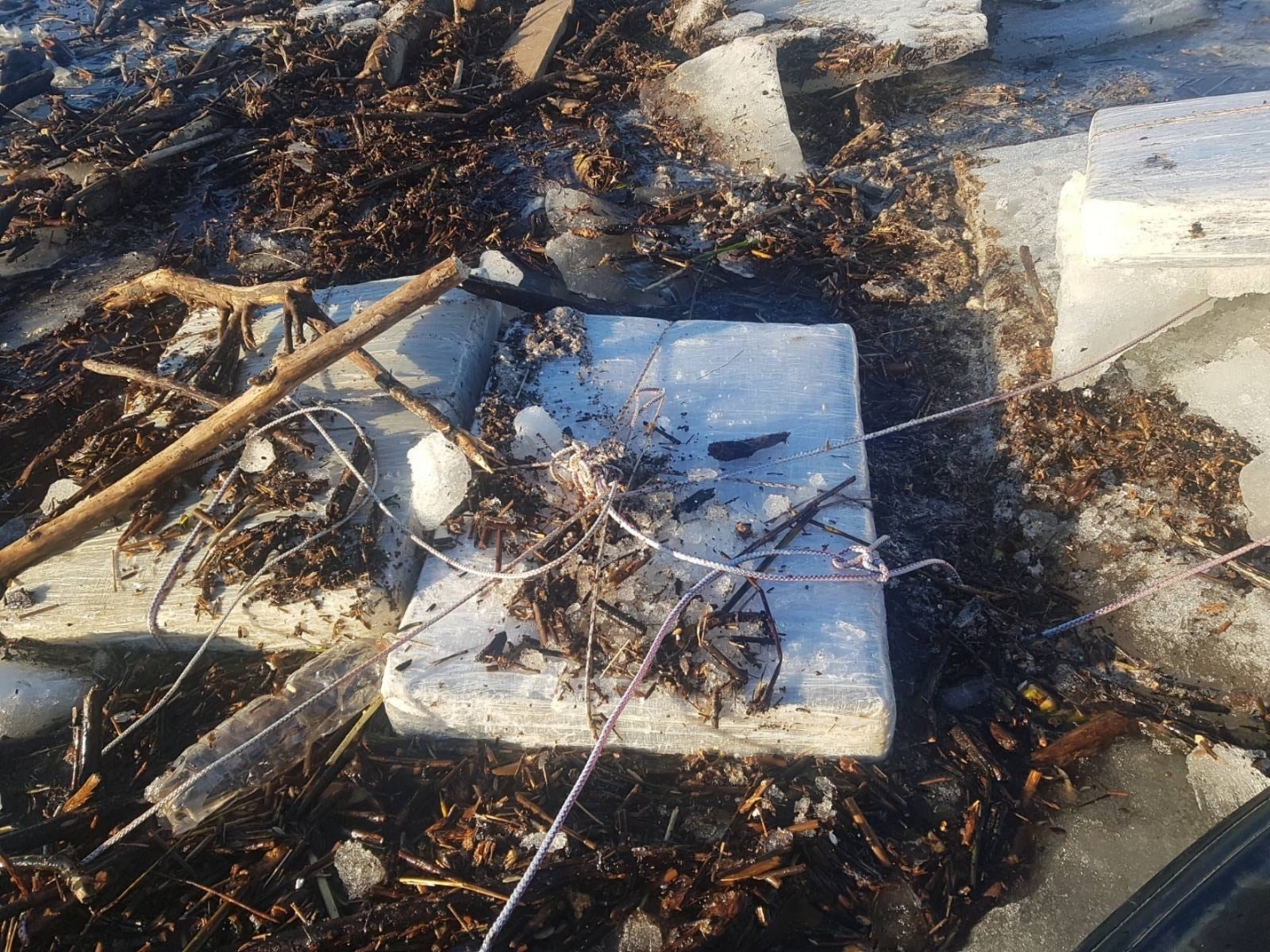 FOTO: Kontrabandas cigaretes