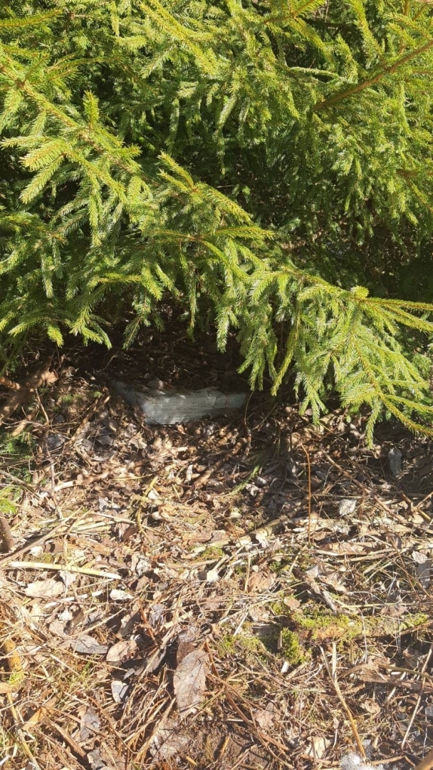 FOTO: Kontrabandas cigaretes