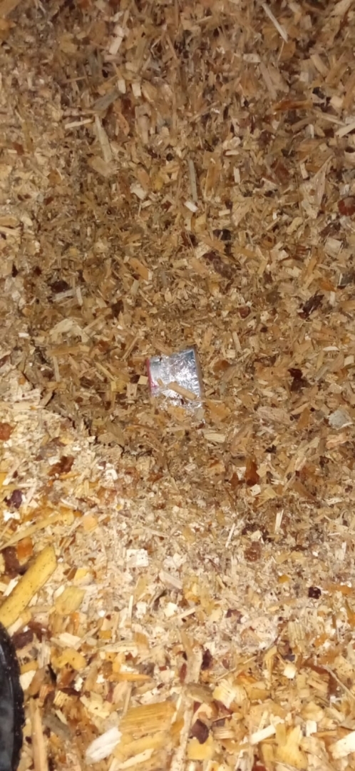 FOTO: Kontrabandas cigaretes