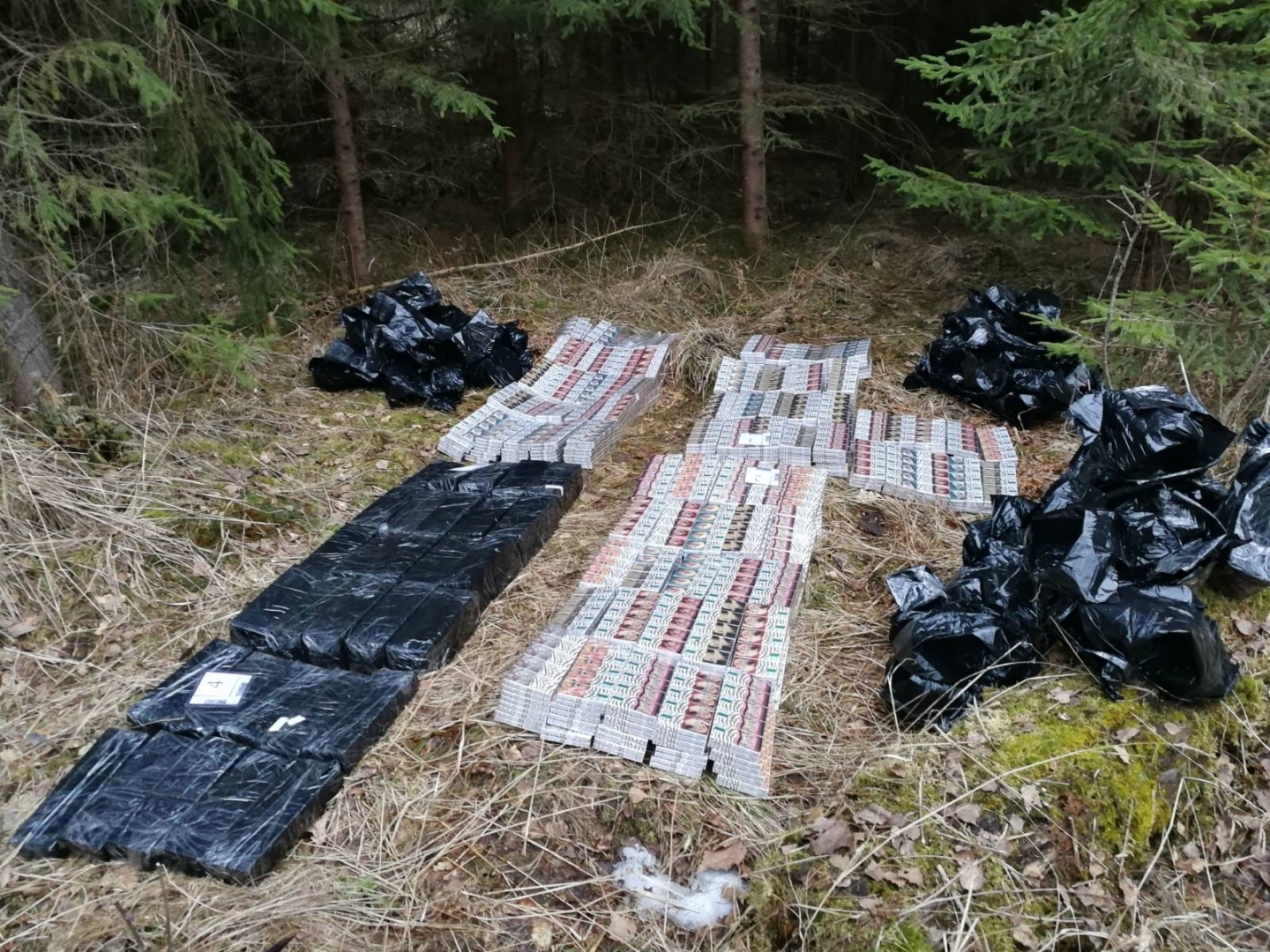 FOTO: Kontrabandas cigaretes