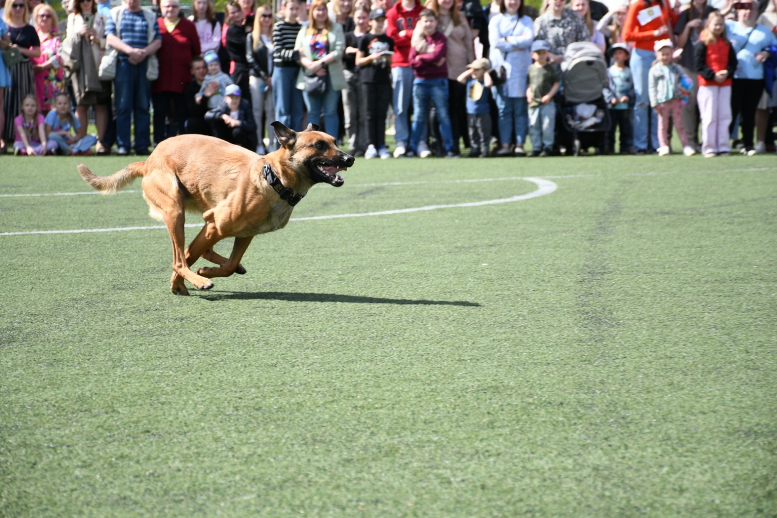 FOTO: Robežsargi piedalās 4. maija svinībās Rēzeknē