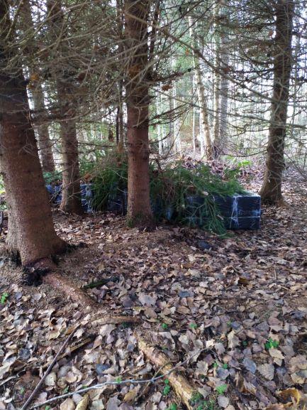 FOTO: Kontrabandas cigaretes