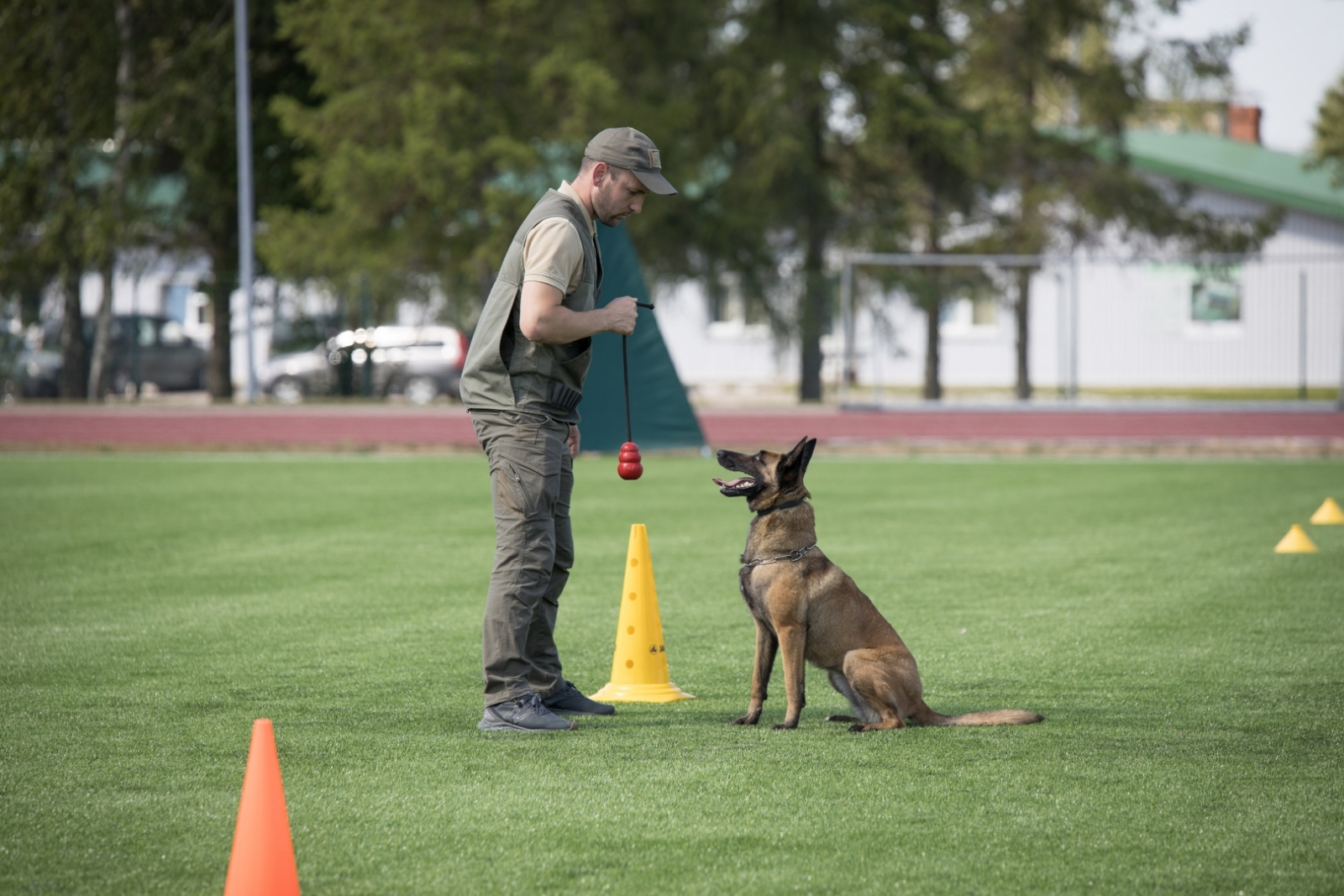 FOTO: Kinologu sacensības
