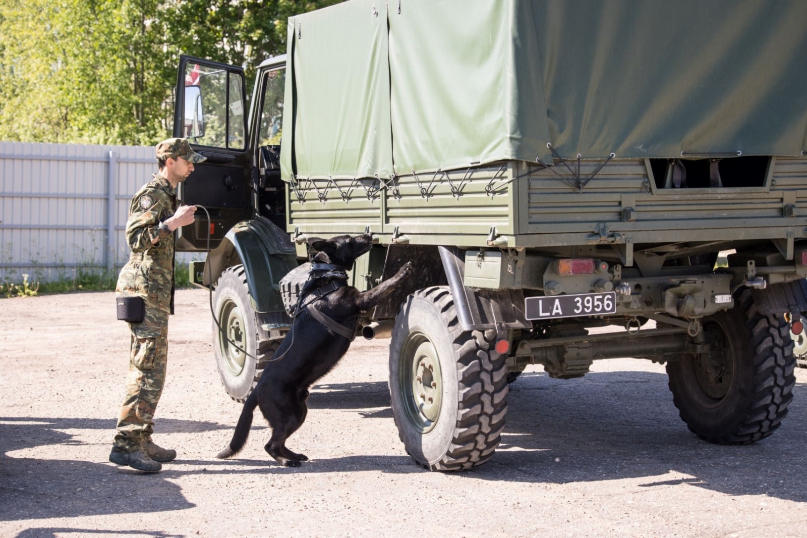 Kinoloģijas dienestu sacensības tiek rīkotas jau 23.reizi