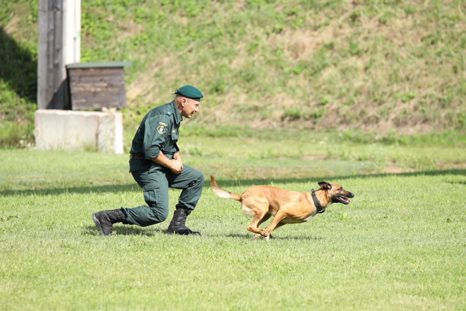 FOTO: Kinologu biatlona sacensību norise