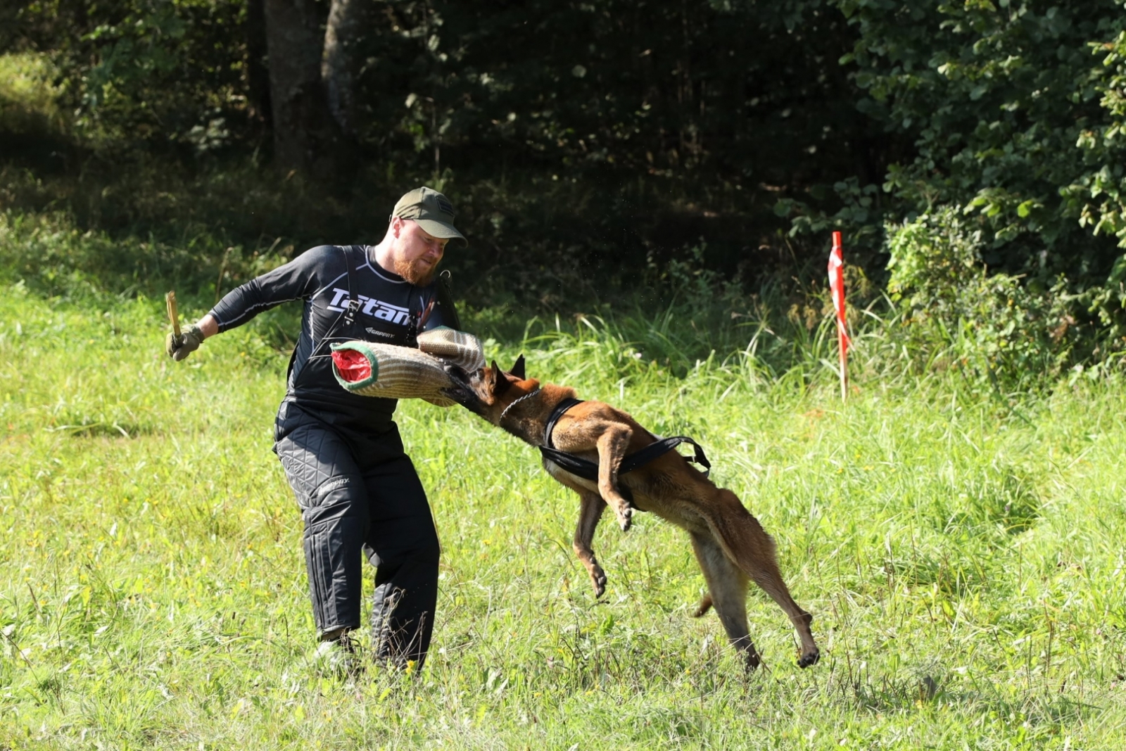 FOTO: Kinologu biatlona sacensību norise