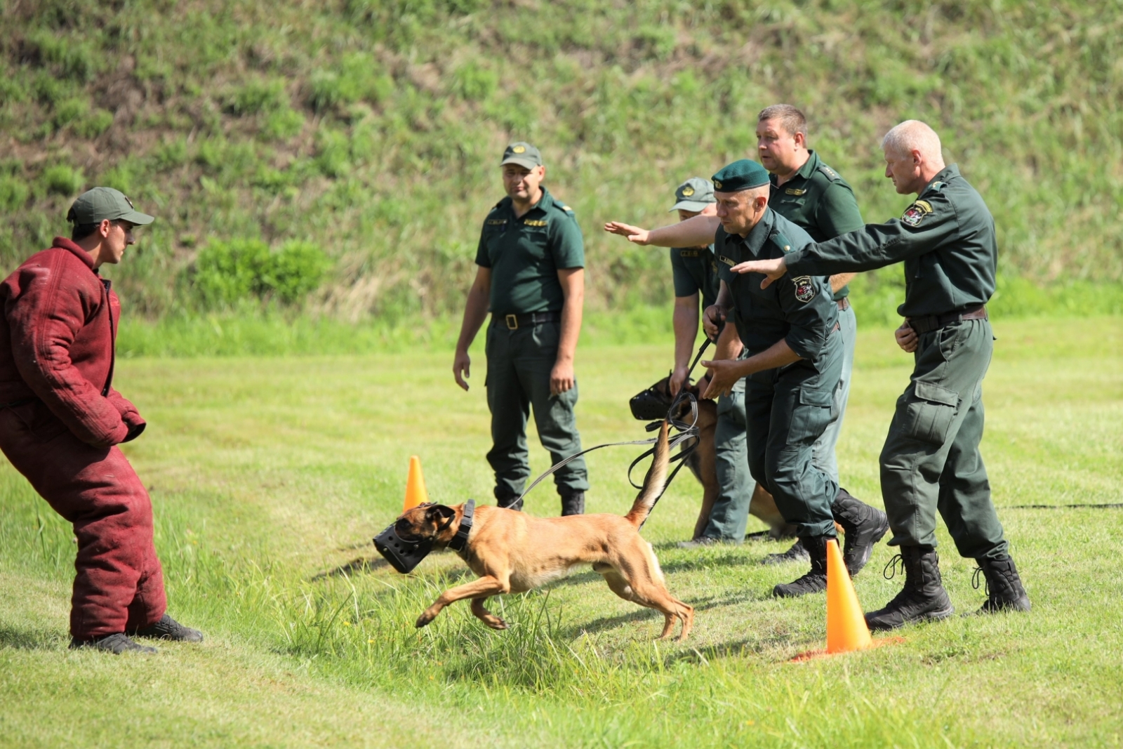 FOTO: Kinologu biatlona sacensību norise