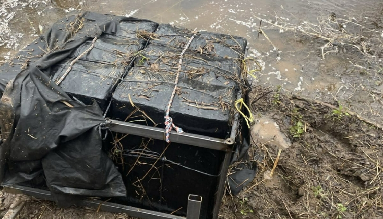 FOTO: Kontrabandas cigaretes