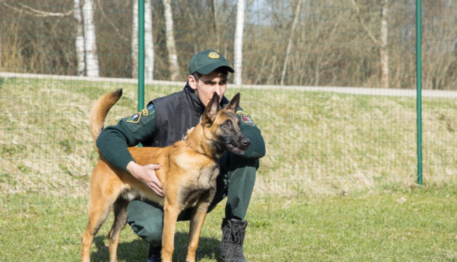 FOTO: Kinologs ar suni