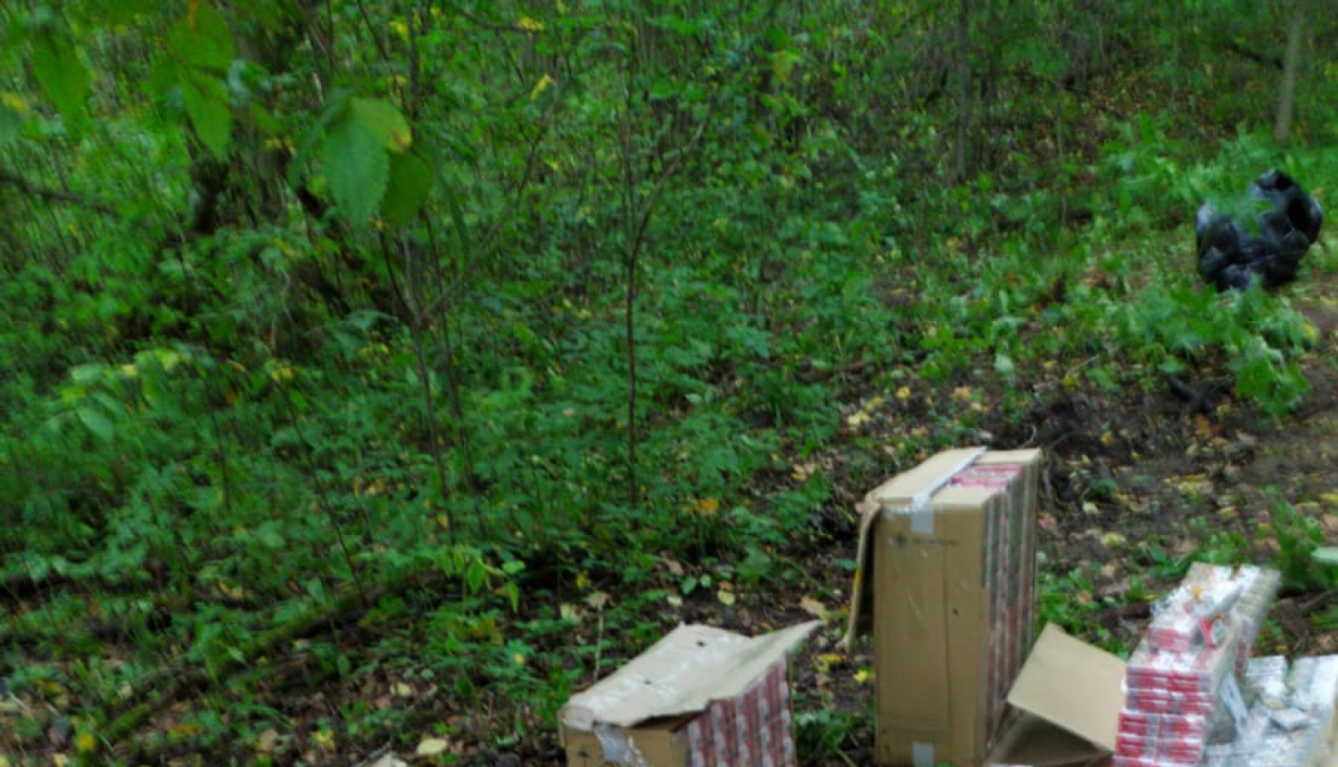 FOTO: Kontrabandas cigaretes