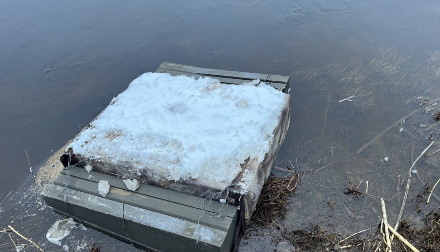 Robežsargi izņem 60 000 kontrabandas cigarešu