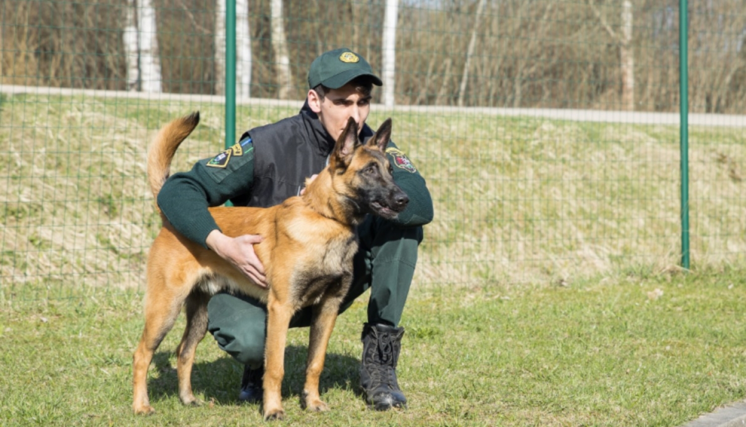 FOTO: Kinologs ar suni