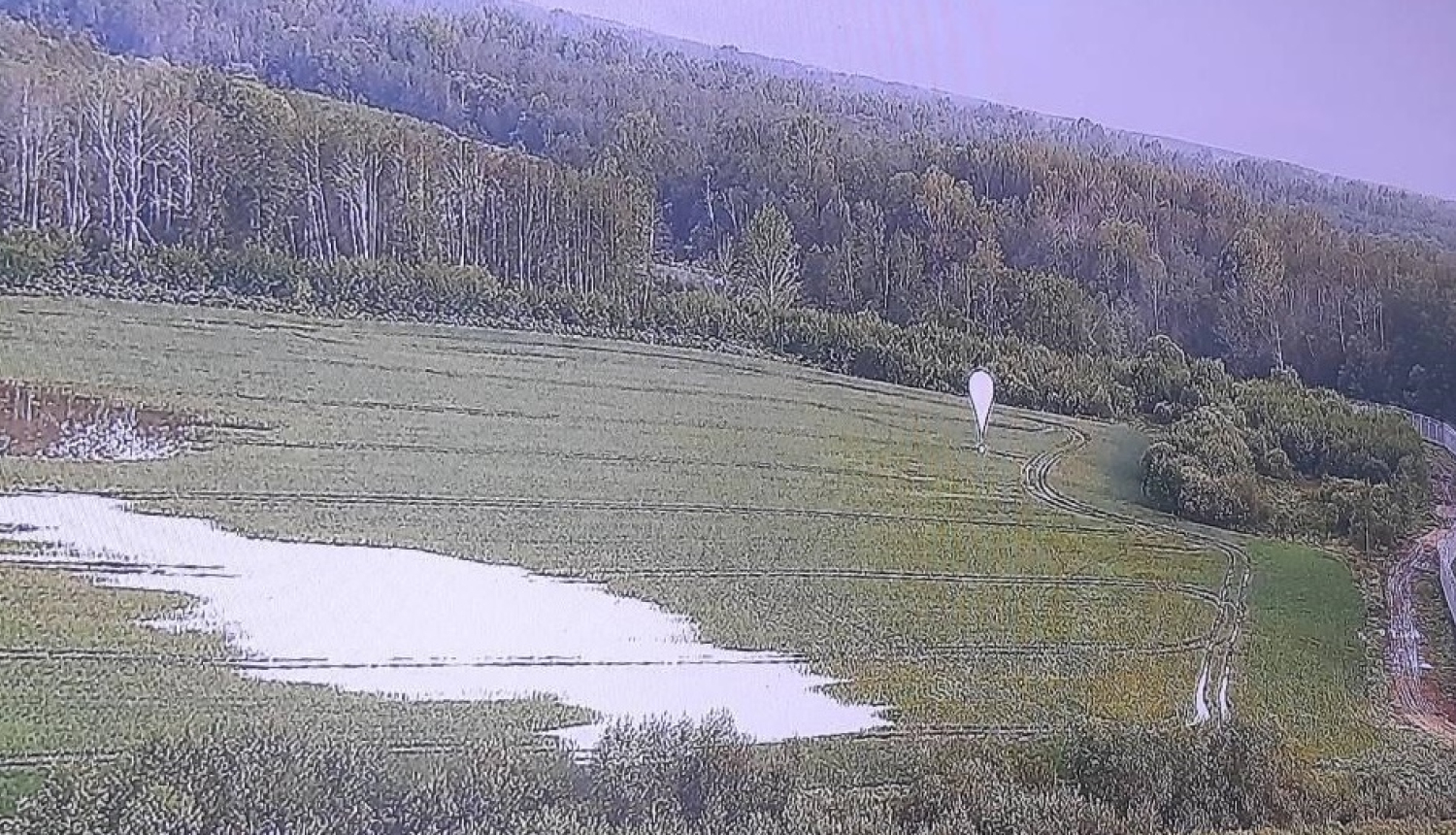 FOTO: Kontrabandas cigaretes